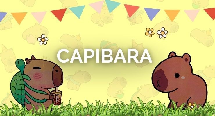 Cotillon Capibara