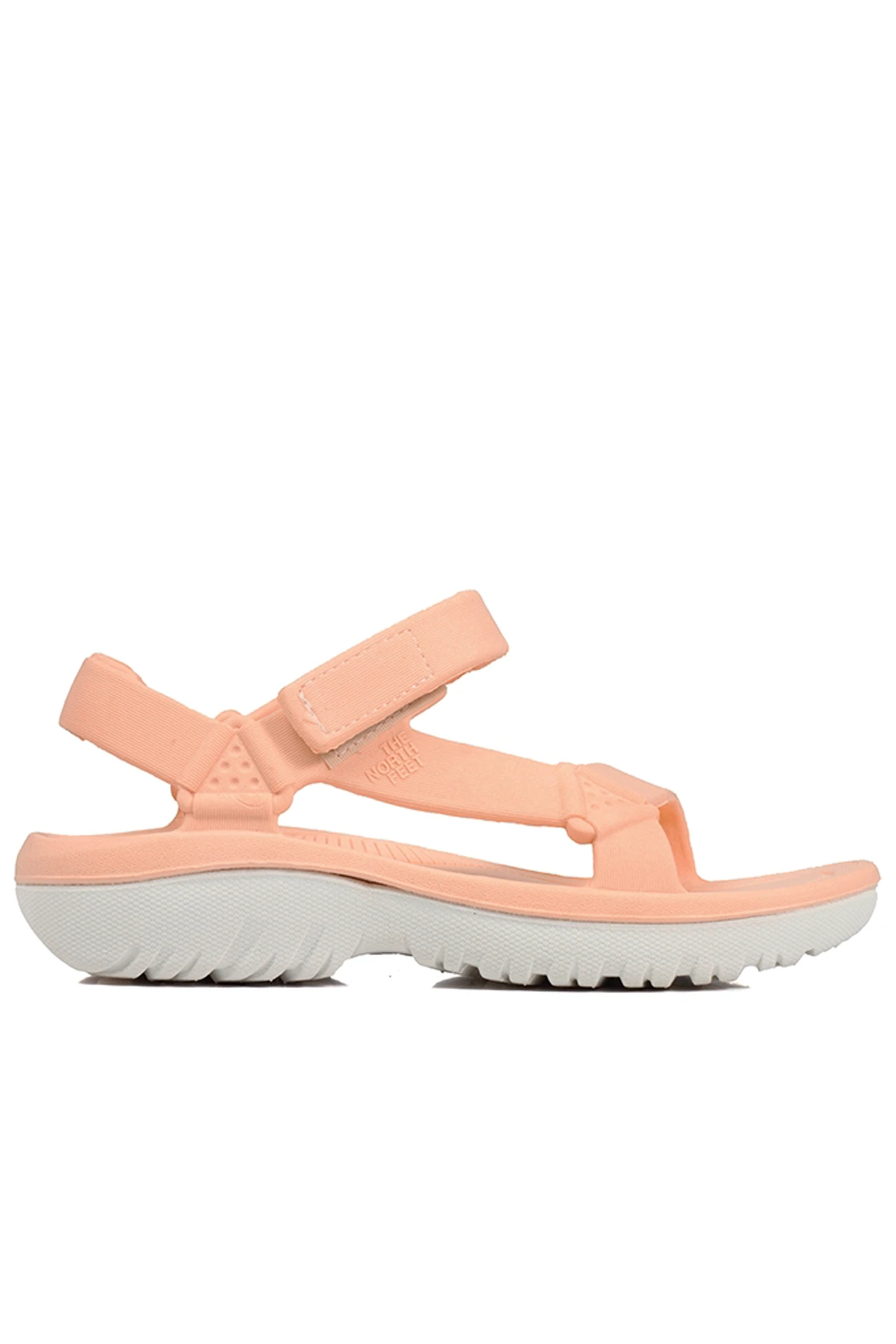 ZUECOS DELIA - SALMON