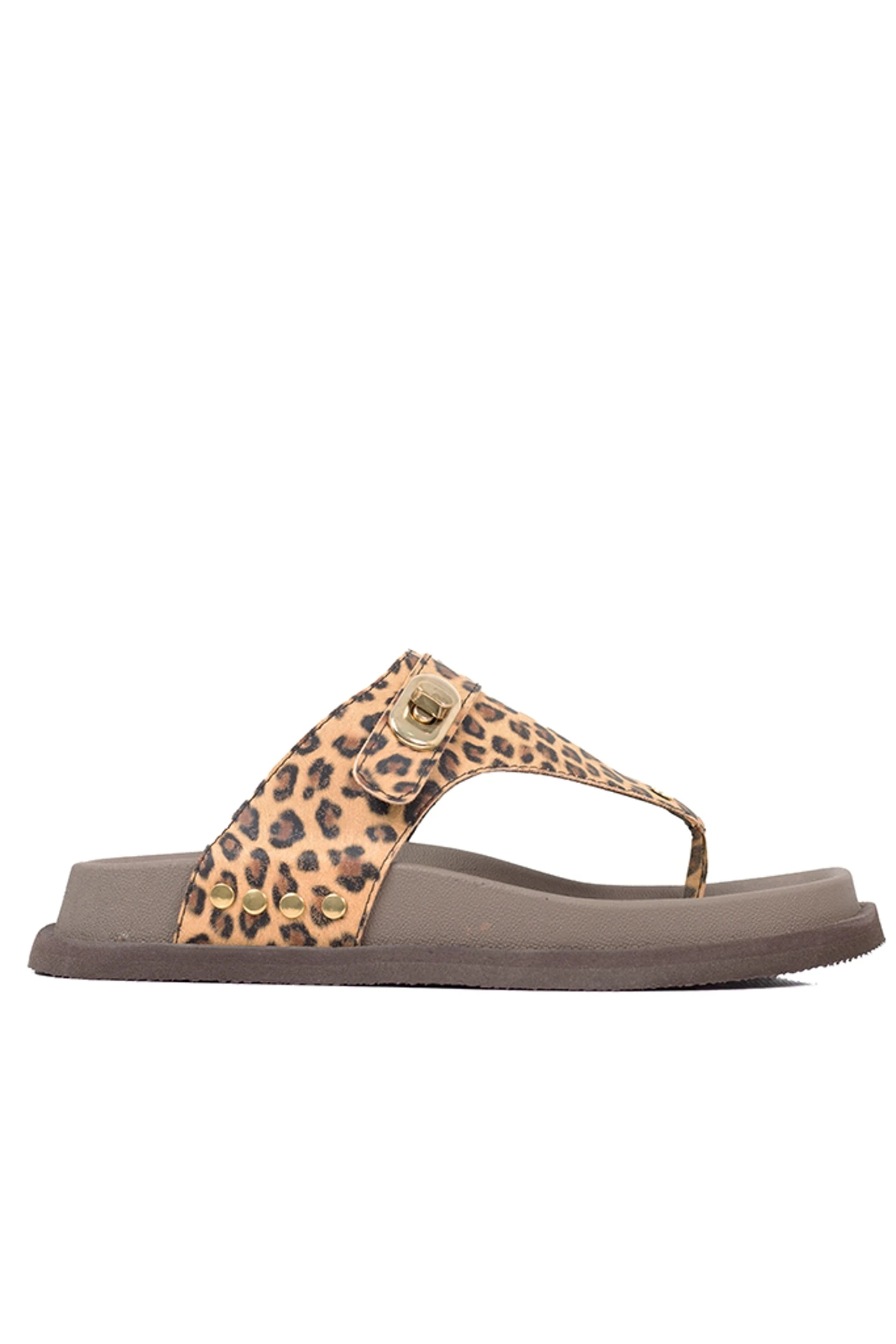 OJOTAS CHINA - ANIMAL PRINT